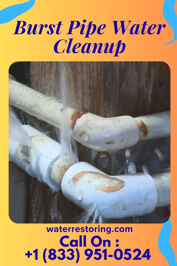 Burst Pipe Water Cleanup in Cape Coral, FL