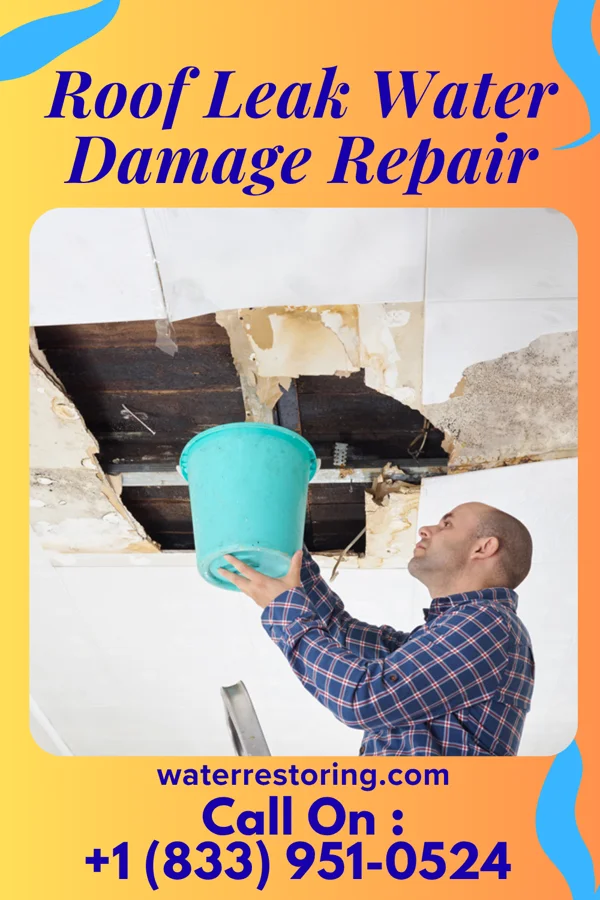 Roof Leak Water Damage Repair in Cape Coral, FL